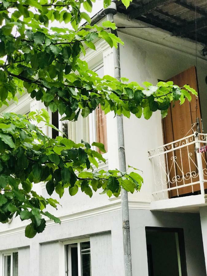 Anna Hostel Kobuleti Exterior foto